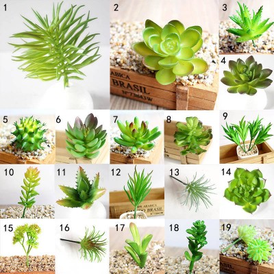 Artificial Succulents Plastic Plant Fake Cactus Floral Garden Home Office Decor   152945466120